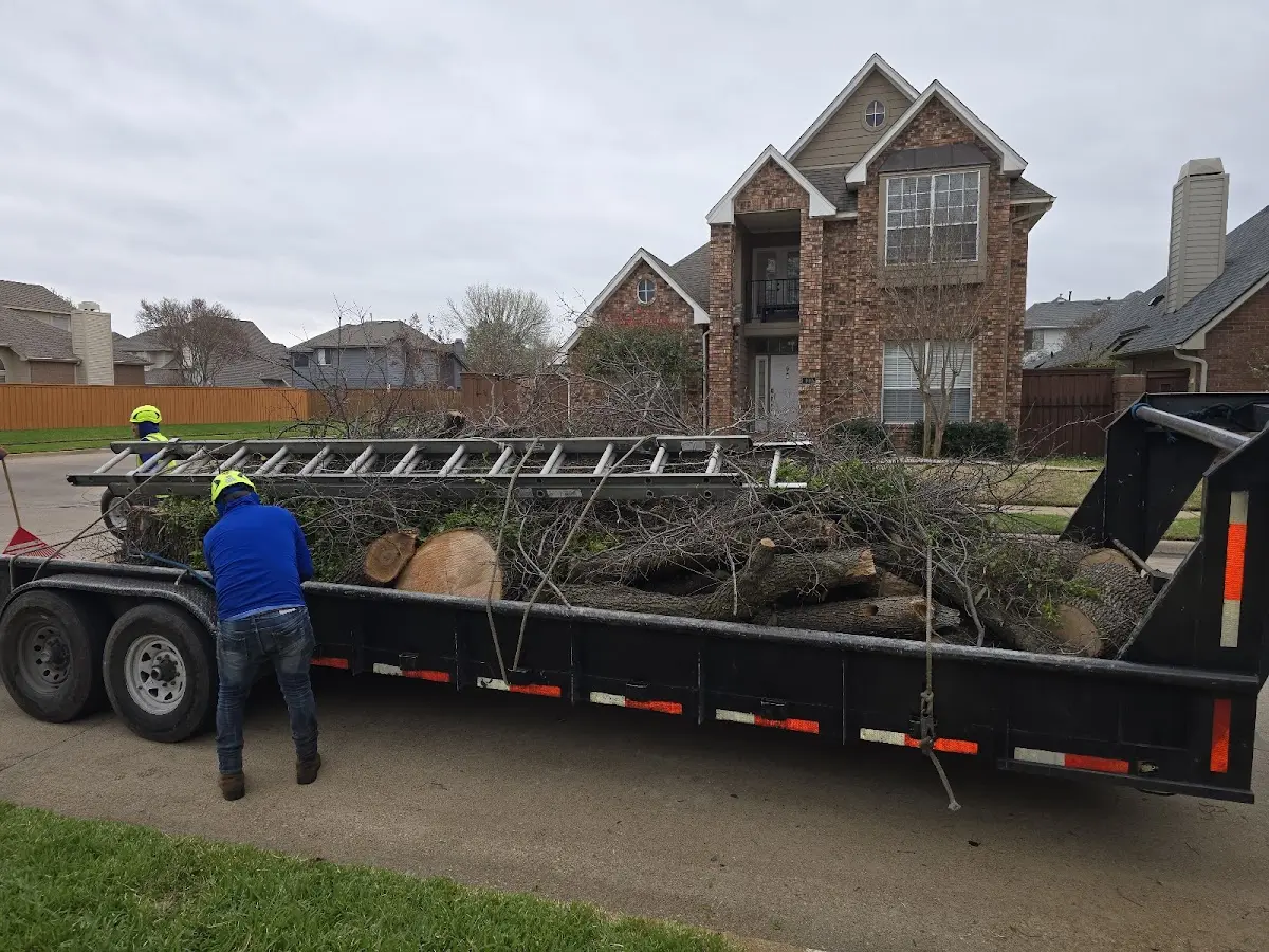 Expert Tree Removal with proper safety equipment in Libertyville